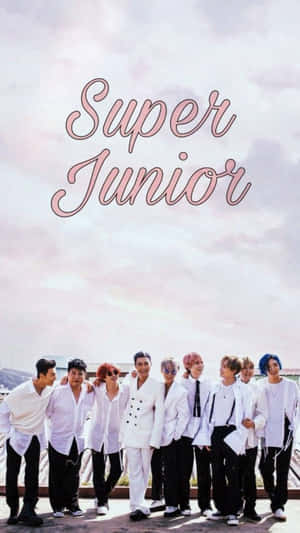 Super Junior In Polo Shirts Wallpaper