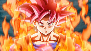 Super Saiyan God Goku Fire Anime Wallpaper