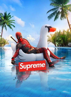 Superhero Supreme Deadpool On Swan Floatie Wallpaper