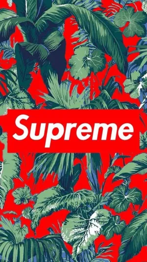 Supreme Logo 1080 X 1920 Wallpaper