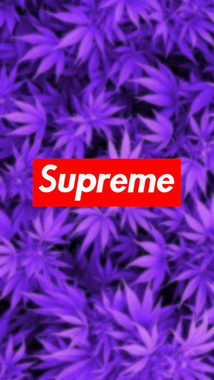 Supreme Logo With Weed Leaf Background Wallpaper