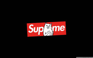 Supreme Middle Finger Cat Wallpaper