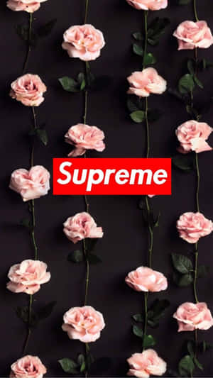 Supreme Roses Cute Background Wallpaper