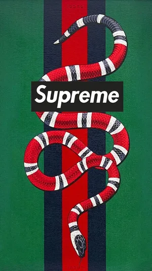 Supreme Snake - T-shirt Wallpaper