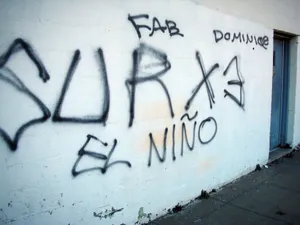 Sur13 Graffiti Wall Art.jpg Wallpaper