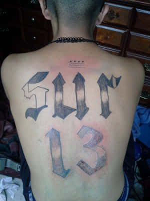 Sur13 Tattooed Back Wallpaper