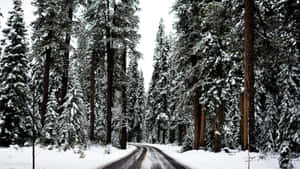 Surf The Winter Weather With A Laptop Wallpaper