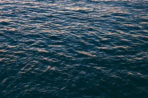 Surface Of Calm Waters 1080p Hd Desktop Wallpaper