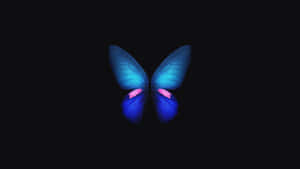 Surrounded By Beauty Wallpaper