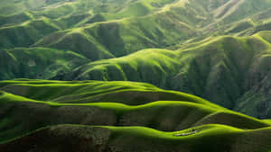 Sustainability Hills Wallpaper