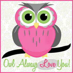 Sweet Cute Owl Quote Wallpaper