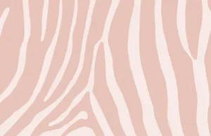 Sweet Dreams Of Pink Zebra Stripes Wallpaper