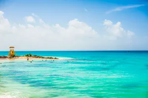 Swimming In Barbados Wallpaper