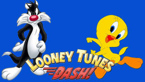 Sylvester And Looney Tunes Dash Wallpaper