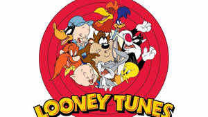 Sylvester And The Looney Tunes Group Wallpaper
