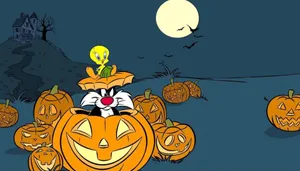Sylvester And Tweety Bird Jack-o-lantern Wallpaper