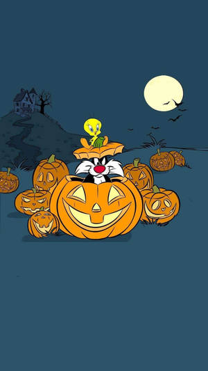 Sylvester On Pumpkin Cartoon Halloween Wallpaper