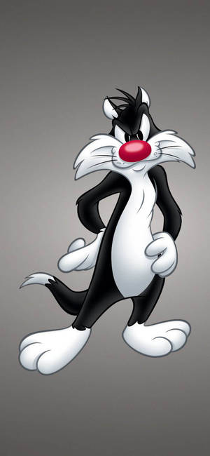 Sylvester The Cat Iphone 11 Wallpaper