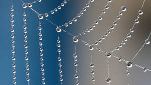 Symetrical Water Droplets Wallpaper