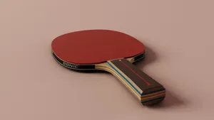 Download Table Tennis In Anime Wallpaper