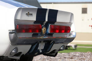 Tail Light Of Shelby Iphone Wallpaper