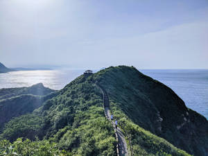 Taipei Hiking Trail Wallpaper