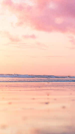 Take A Beautiful Beach Vacation With A Brand New Iphone Wallpaper