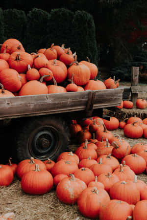 Take A Break And Enjoy The Beautiful Autumn-themed Aesthetic Of This Macbook. Wallpaper