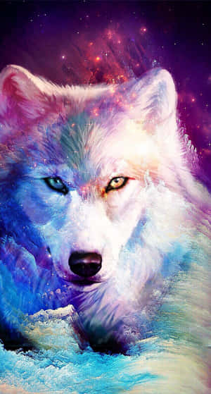 Take A Journey Across The Galaxies With The Beautiful Wolf Pack. Wallpaper