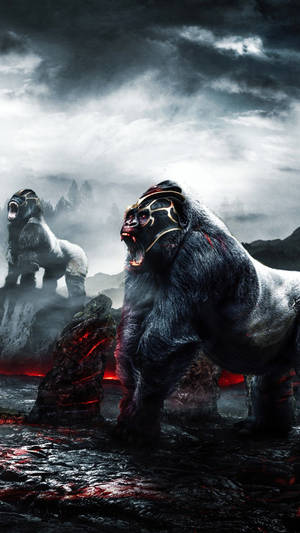 Take A Look At This Cool Gorilla Wallpaper