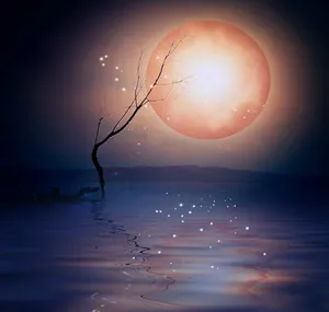 Take A Magical Trip Through The Night Sky Wallpaper