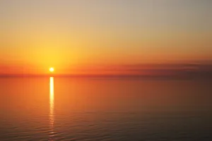 Take A Moment To Appreciate Nature’s Beauty. Wallpaper