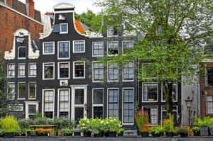Take A Stroll Along The Canals Of Amsterdam In The Springtime Wallpaper