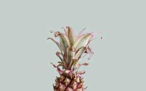 Take A Vacation In Paradise Wallpaper