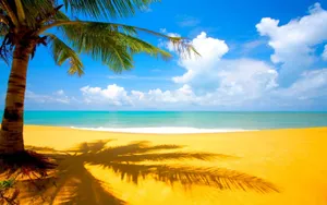 Take In The Beauty Of A Beach In Hawaii Wallpaper