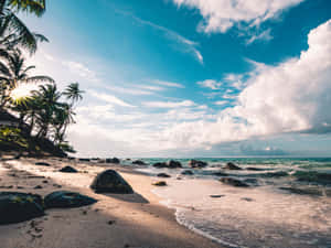 Take Your Breath Away With A Peaceful View At The Beach Wallpaper