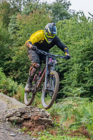 Taking On The Trails Wallpaper