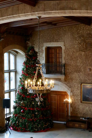 Tall And Pretty Christmas Tree Wallpaper