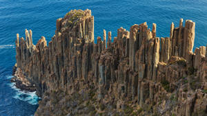 Tasmania Cape Raoul Wallpaper