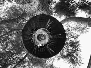 Taylor Swift's Latest Album Folklore Wallpaper