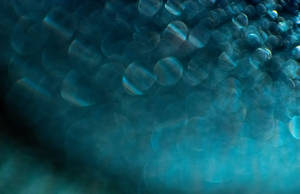Teal Bubble Reflections Wallpaper