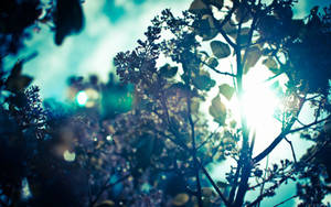 Teal-toned Leaf Branch Tumblr Desktop Wallpaper