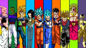 Team Universe 7 Dragon Ball Super Broly Wallpaper