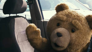 Ted Driving A Car Wallpaper