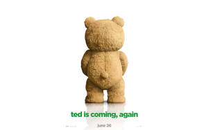 Ted Is Coming Again Wallpaper