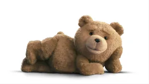 Ted Laying Cutely Wallpaper