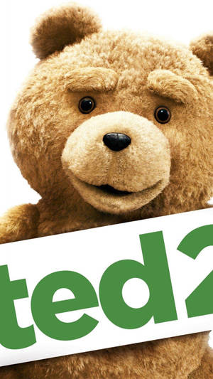 Ted Movie Close Up Wallpaper