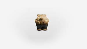 Ted Movie Pants Down Wallpaper