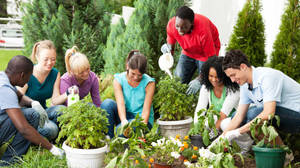 Teenagers Gardening Activity Wallpaper