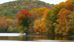 Tennessee Radnor Lake Autumn Wallpaper